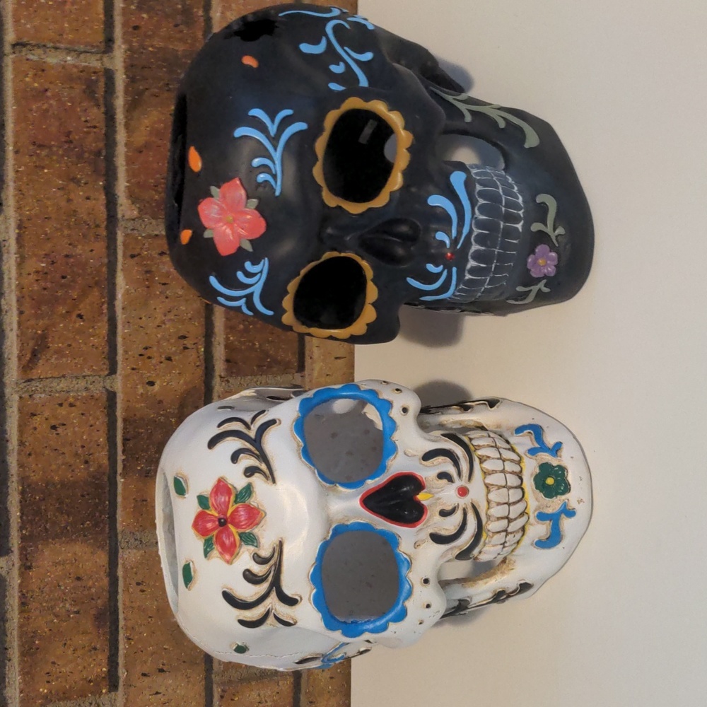 Pink Zebra Accent Shade Sugar Skull, multiple available
